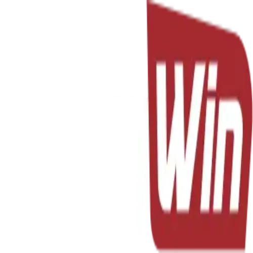 gofancywin