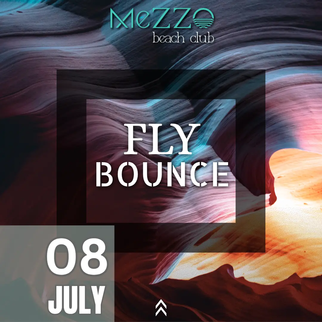 FLY BOUNCE
