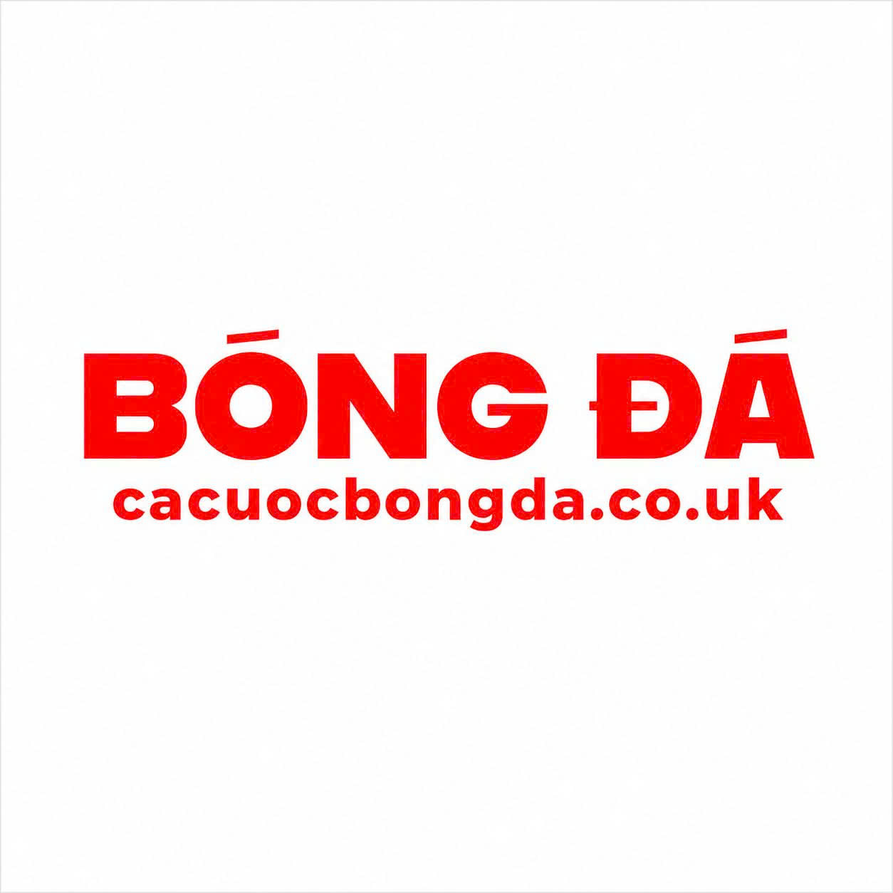 Cacuocbongda Couk
